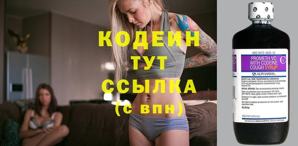 индика Наволоки