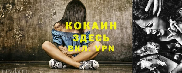 молекула духа Надым