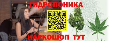 дурь Берёзовский