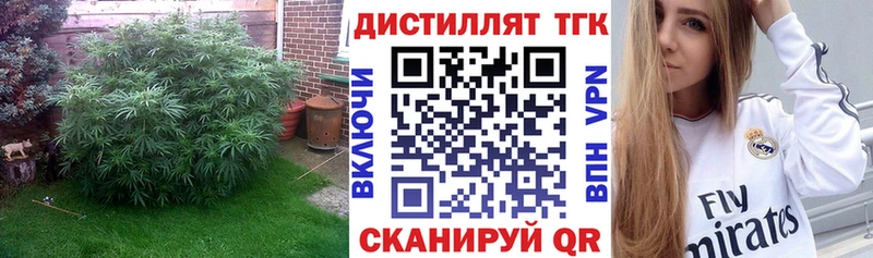 ТГК концентрат  закладки  Прохладный 