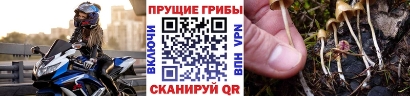 hydra зеркало  Прохладный  Галлюциногенные грибы Magic Shrooms 
