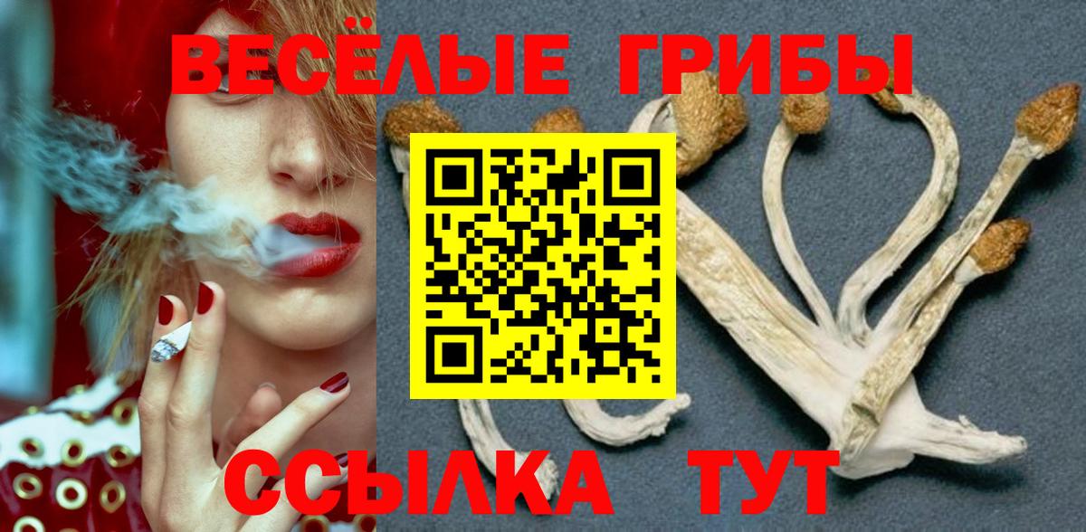 Псилоцибиновые грибы Magic Shrooms  купить наркотики сайты  Прохладный  Вход с VPN 